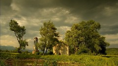 Leaves nature purple abstract digital art fantasy art Girls Of 