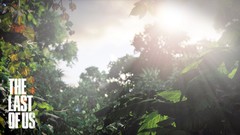 Leaves nature sunlight the last of us artwork video games
