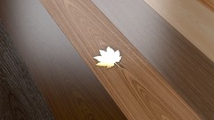 Leaves parquet maple Wood Miscellanea