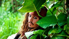 Leaves pirates Johnny Depp Pirates of the Caribbean Captain 