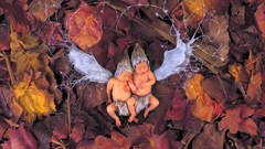 Leaves sleeping babies fallen leaves Anne Geddes