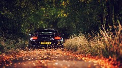 Leaves Trees cars roads taillights back light Porsche 911 (997) 