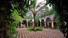 Leaves Trees Garden palm trees Spain arches courtyard