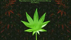 Leaves Weeds marijuana drugs hemp digital art Quotes Terence 