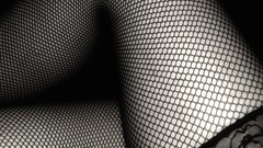 Legs stockings fishnet lingerie