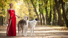 Legs woman dress Dogs