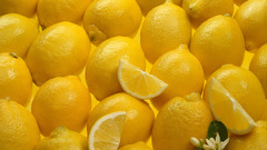 Lemons slices Food and