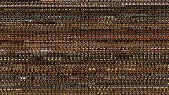 Leon The Professional