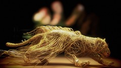 Leopardo Manga Anime