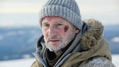 Liam Neeson The Grey