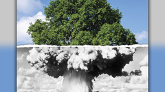 Life great boom goes ver