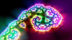 Light Art flora fractal