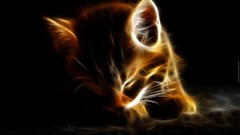 Light black cats Fractalius