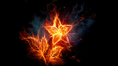 Light blue Flowers fire