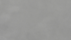 Light gray suede anon