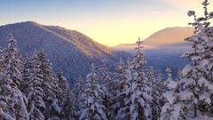 Light morning hurricane Washington national park