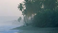 Light New misty rico morn puerto