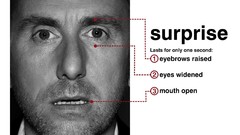 Light surprise Lie to Me