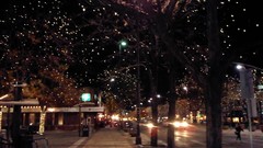 Lights Christmas Fort Collins