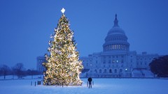 Lights Christmas Washington Christmas trees Capitol Building