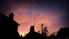 Like The first morning