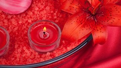 Lilies Candles red flowers tealight