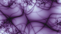 Lines abstract purple dual