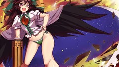 Lingerie brunettes touhou wings