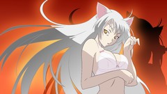 Lingerie nekomimi bakemonogatari hanekawa