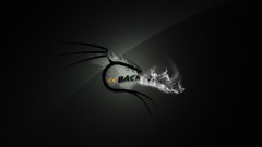 Linux BackTrack