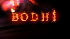 Linux flames Bodhi Linux