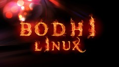 Linux flames Bodhi Linux