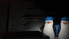 Linux router console pinguin