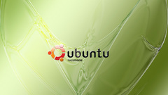 Linux ubuntu computer