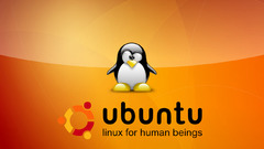 Linux ubuntu tux human