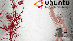 Linux ubuntu Vikings