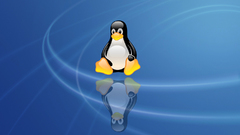 Linux Unix penguin computer