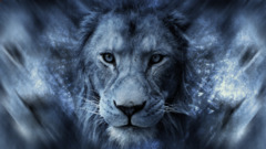 lion Animals Africa blue big cats digital art artwork Mammals