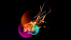 lion bokeh abstract black background streaks Animals Mammals