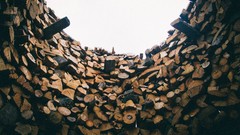Logs Wood surrounded