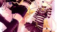 Long hair nekomimi animal