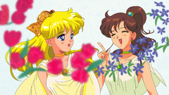 Long hair Sailor Venus