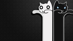 Longcat meme Tacgnol