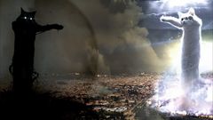 Longcat Tacgnol battles