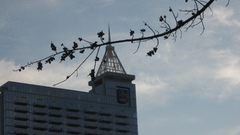 Looking for epic nature