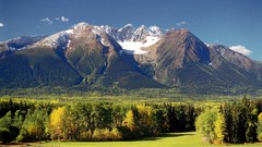 Looks not very but like much sure