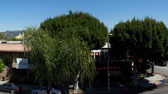 Los Angeles calif street