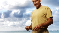 Lost (TV Series) Terry