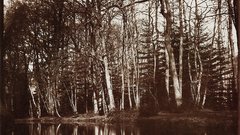 Louis alphonse de br