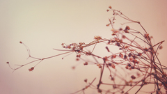 Love Dreaming cansusoydemir